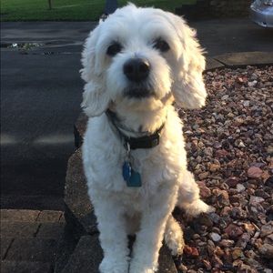 Meet your Posher, Haleigh